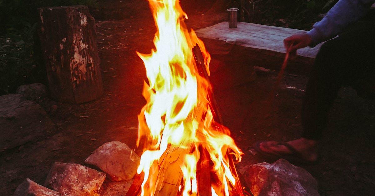 Oplev naturens magi på din næste campingtur